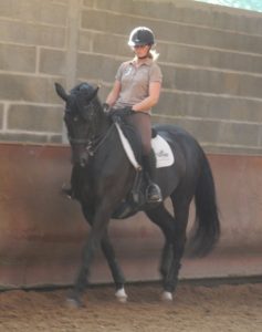 équitation: centre equestre just rambert