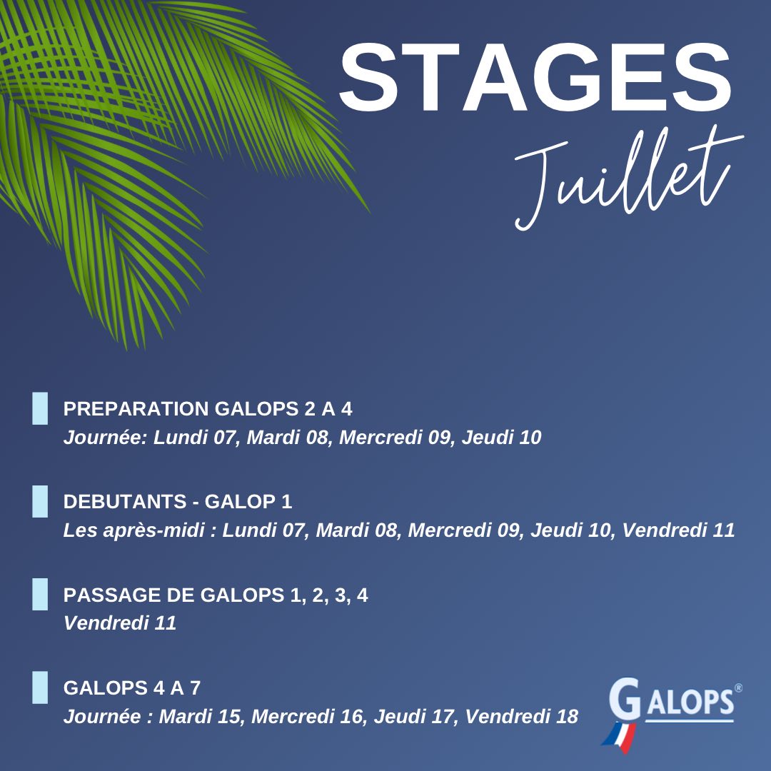 Les stages de Juillet