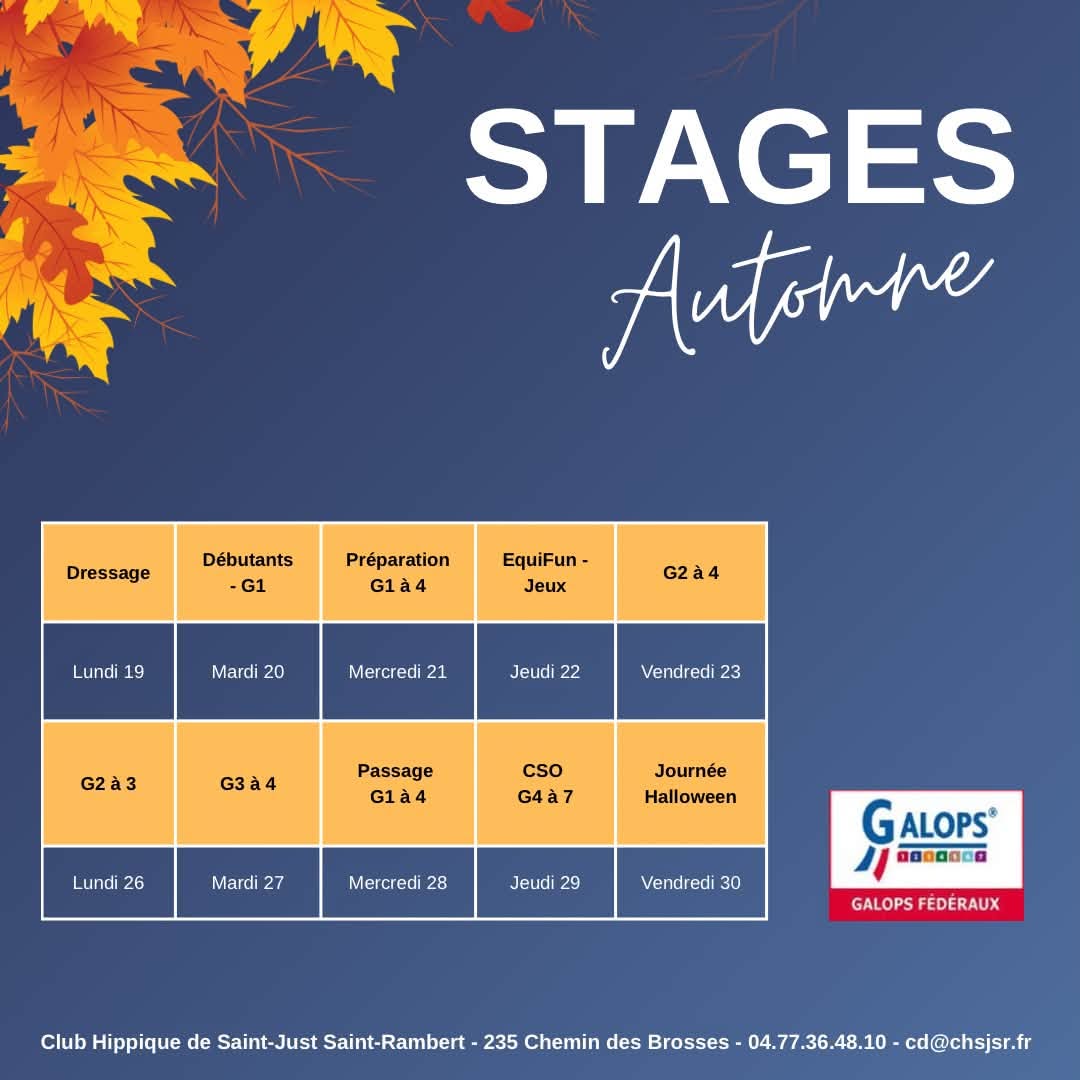 Les stages de la Toussaint