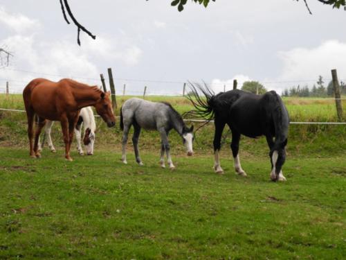 Vie de famille