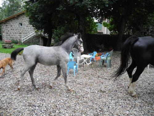 Visite du jardin