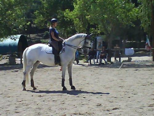 Aurore Miss Marple