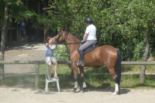 L'équitation en famille 
