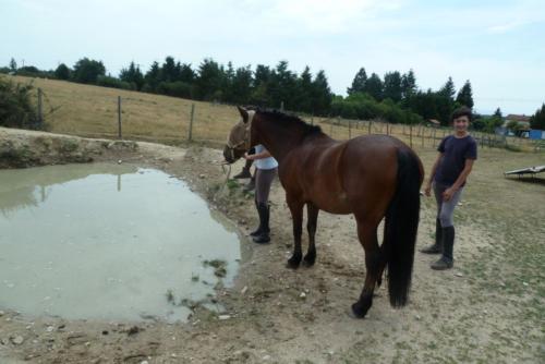 2014-08 Saint Nizier Gast n'aime pas la boue