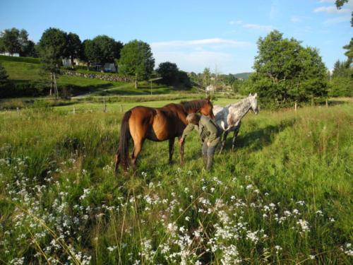 Noisette et Moonlight en vacances