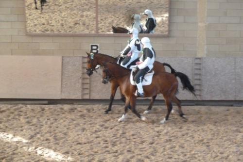 2014-08 Saint Nizier Carrousel vaches
