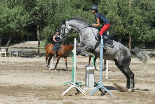 Centre Equestre Saint Just Saint Rambert
