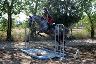 Centre Equestre Saint Just Saint Rambert