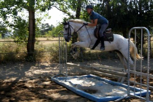 Centre Equestre Saint Just Saint Rambert