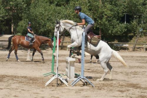 Centre Equestre Saint Just Saint Rambert