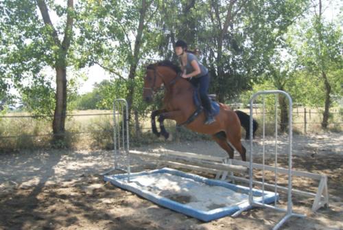 Centre Equestre Saint Just Saint Rambert