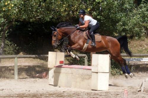 Centre Equestre Saint Just Saint Rambert
