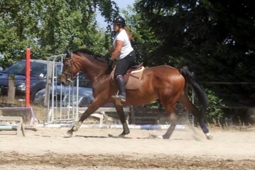 Centre Equestre Saint Just Saint Rambert
