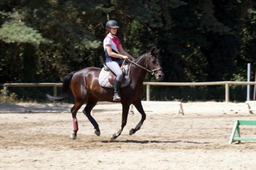 Centre Equestre Saint Just Saint Rambert