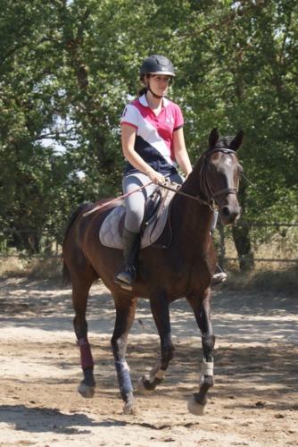 Centre Equestre Saint Just Saint Rambert