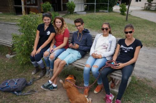 Centre Equestre Saint Just Saint Rambert