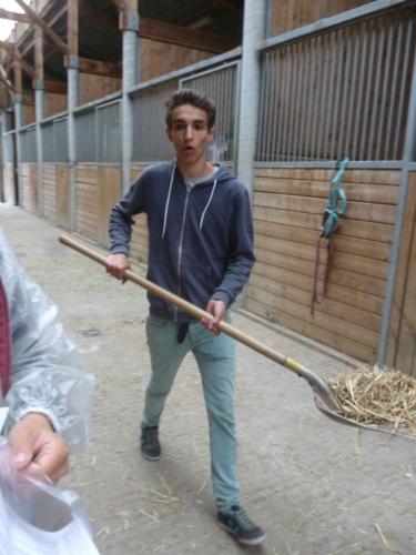 Ben oui le cheval c'est ça aussi ...