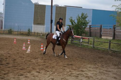Centre Equestre Saint Just Saint Rambert