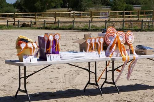 Equi Sun Cup 1 ère place pour le CHSJSR