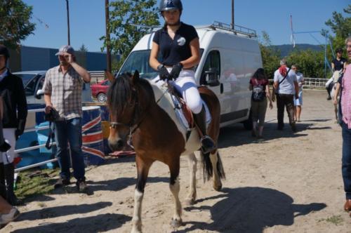 Prêt de chevaux pour la remise des prix!