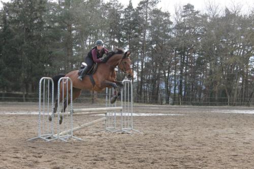 Club Hippique Saint Just Saint Rambert