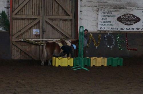 Challenge poneys 01/2016