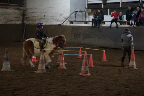 Challenge poneys 01/2016