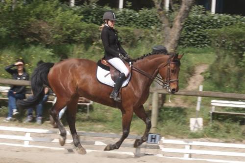 Concours au Club Hippique Saint Just Saint Rambert