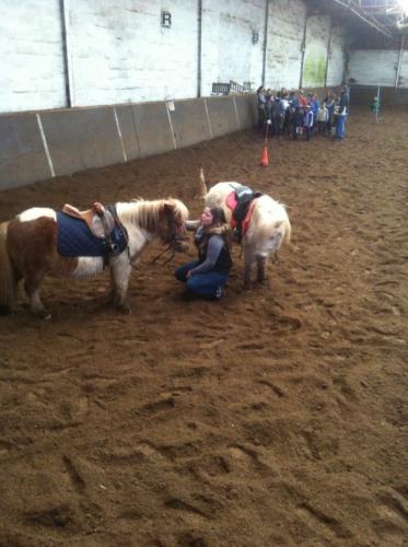 Eté 2016 Jeux poneys