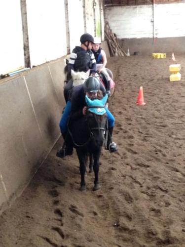 Eté 2016 Jeux poneys