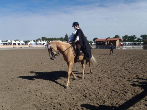 Guilia et Quinoa RLM
