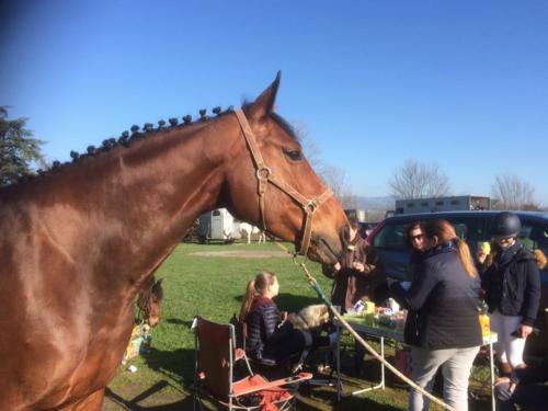 Ambiance concours