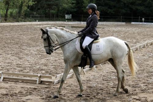 Championnats dressage 2017