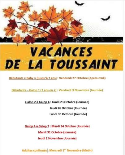 Affiche stages Toussaint