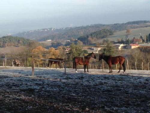 hiver au clu