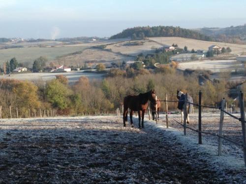 hiver au clu