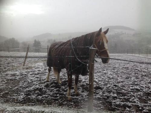 Quéqué en hiver