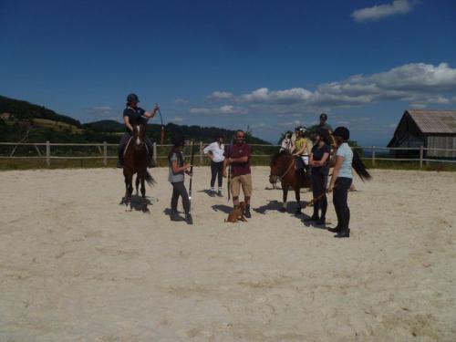 Stage tir à l'arc