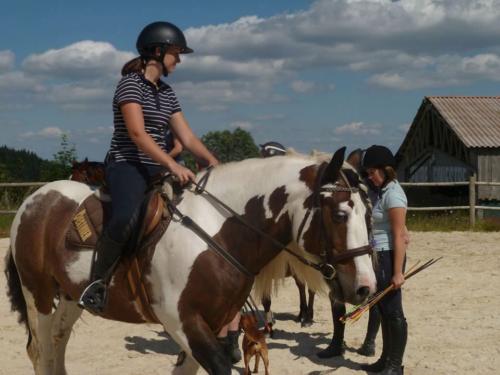 Stage tir à l'arc