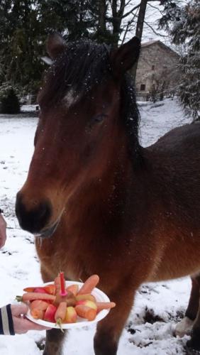 Gaston à 20 ans !