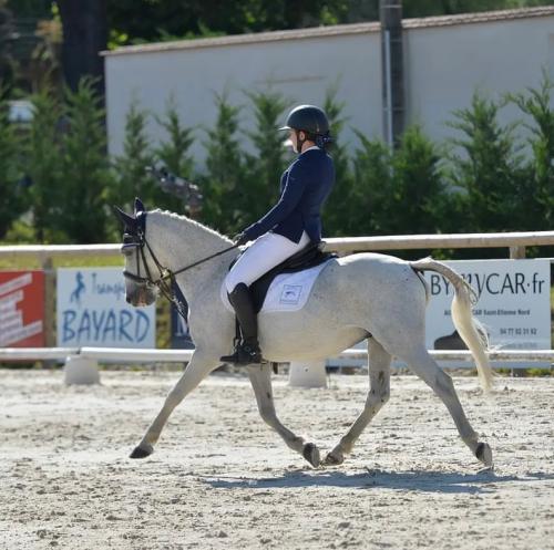 Equisun-dressage