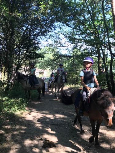 Chasse au trésor dans les bois - 2