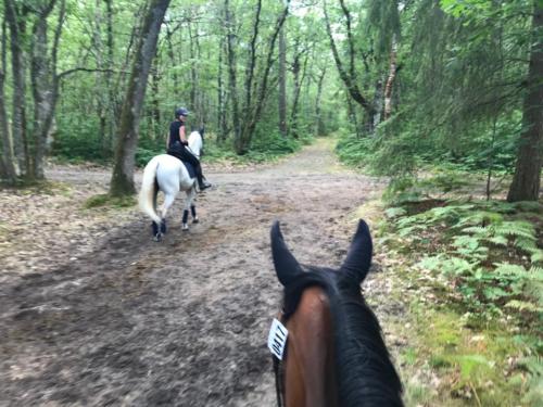 Sortie dans les bois de Lamotte