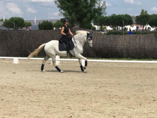 Pauline et Polka