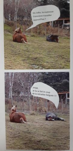 Concours photo Gagnante n°4